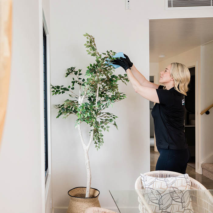 Central Coast Branding Photographer